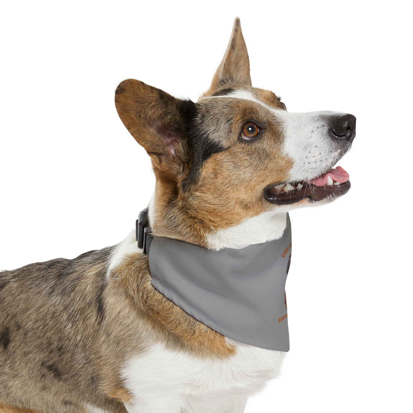 House of Hound ~ Pet Bandana Collar