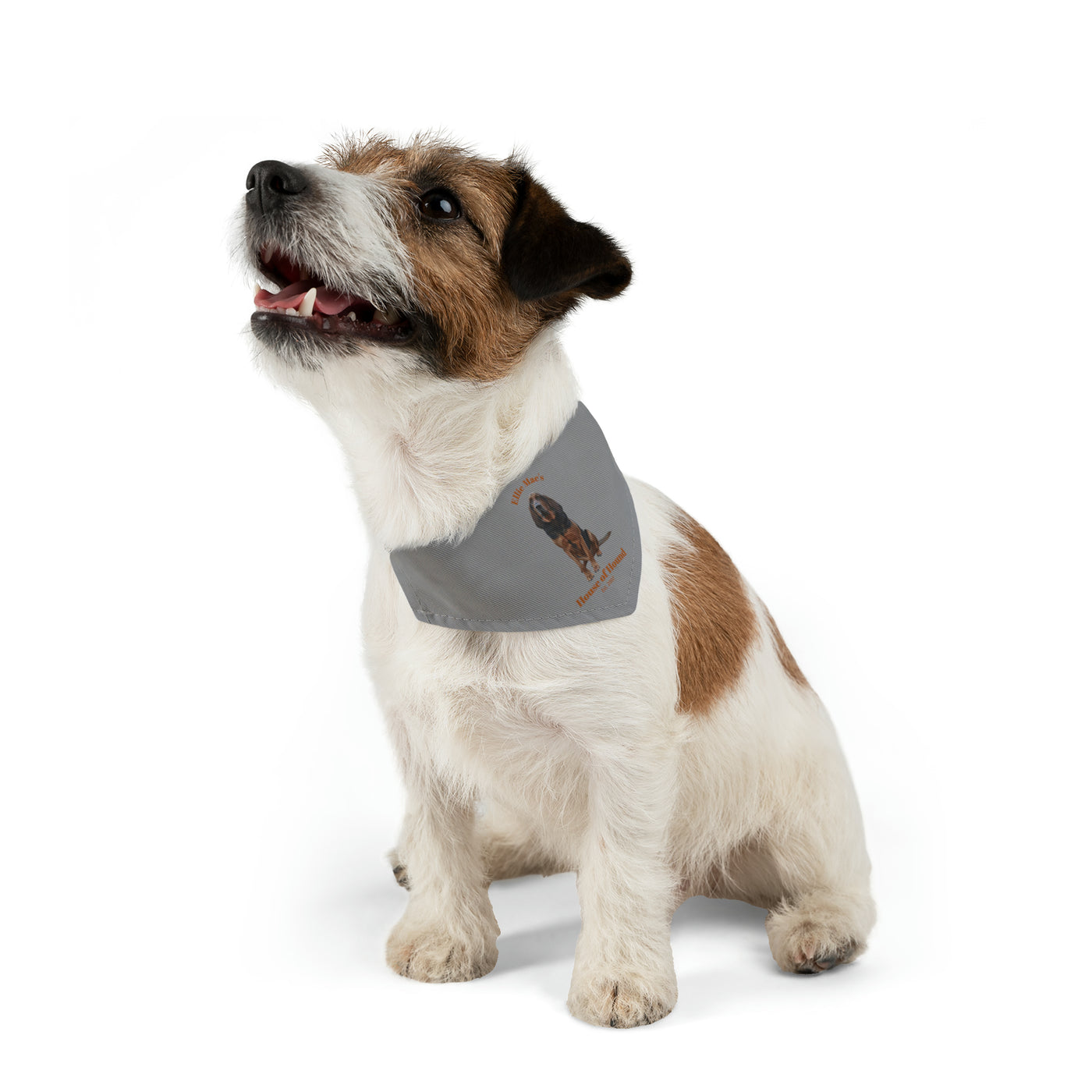 House of Hound ~ Pet Bandana Collar