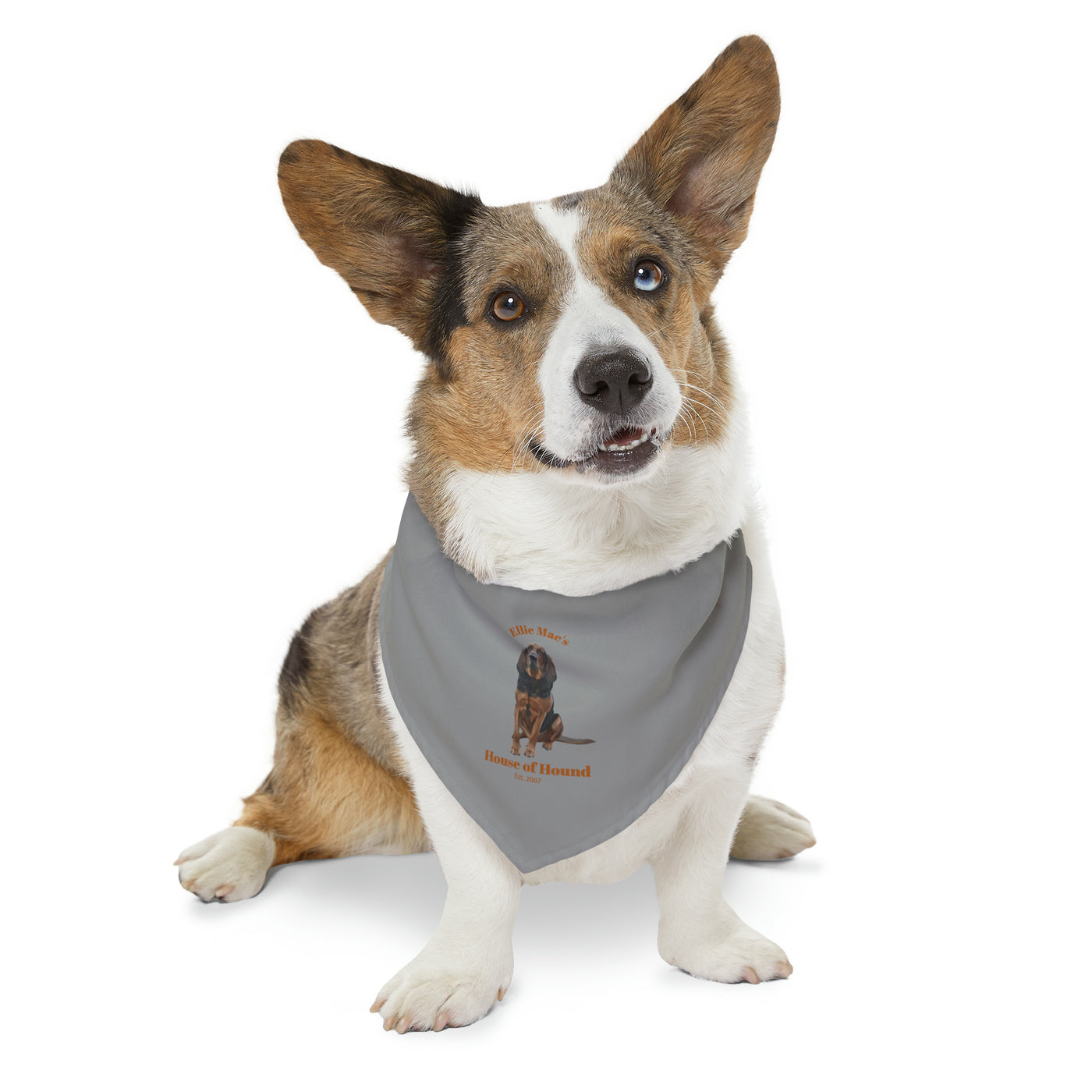 House of Hound ~ Pet Bandana Collar