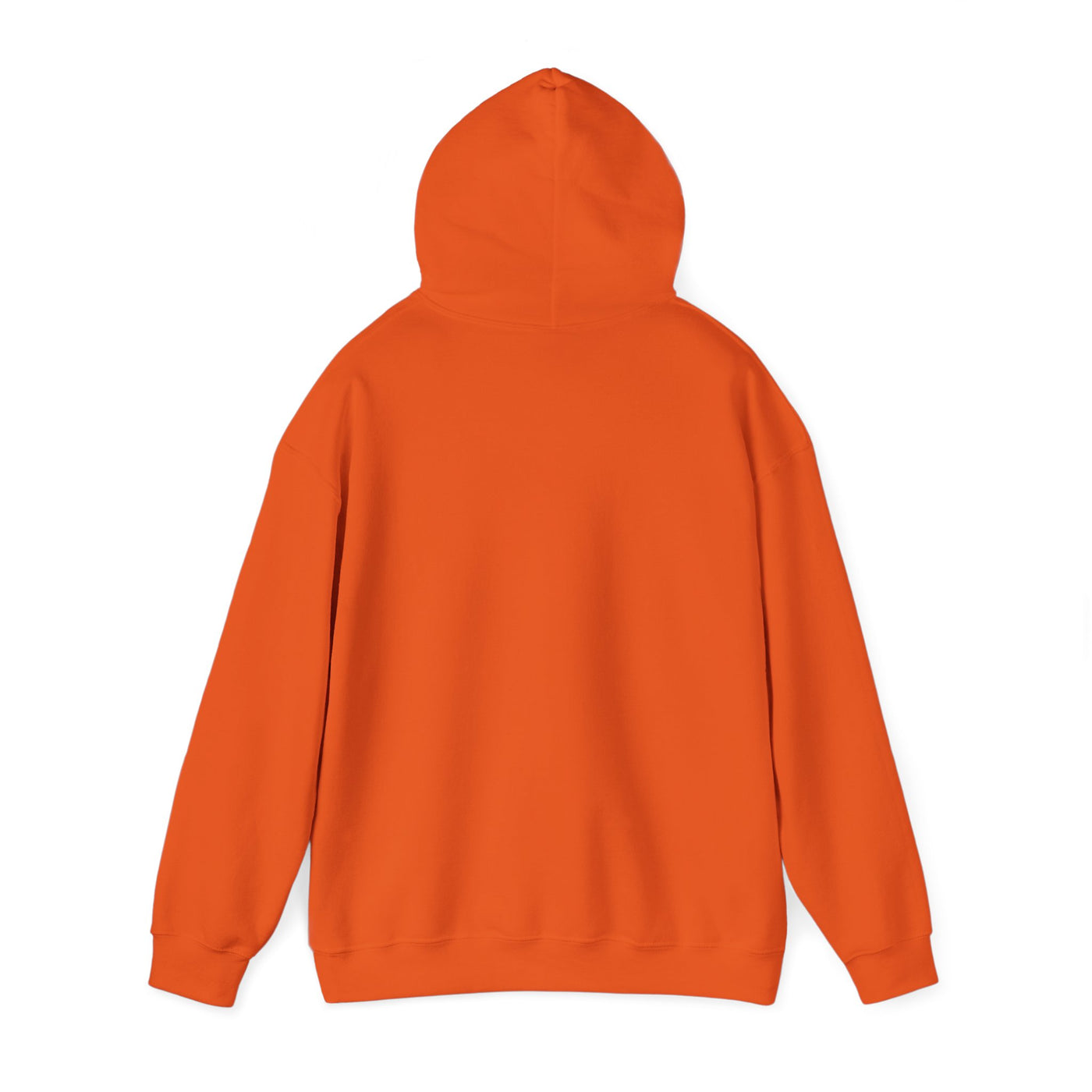 Nicest Things ~ Hooded Sweatshirt