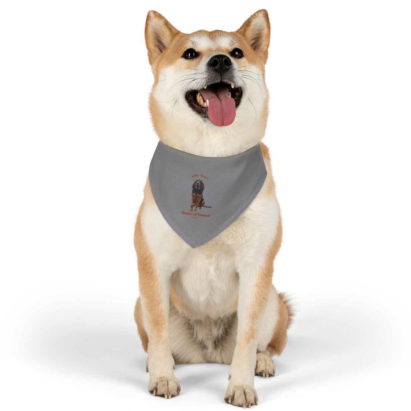 House of Hound ~ Pet Bandana Collar